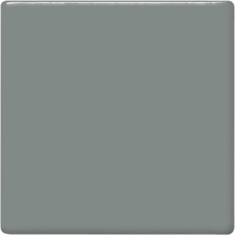 TP15 Gray Pint