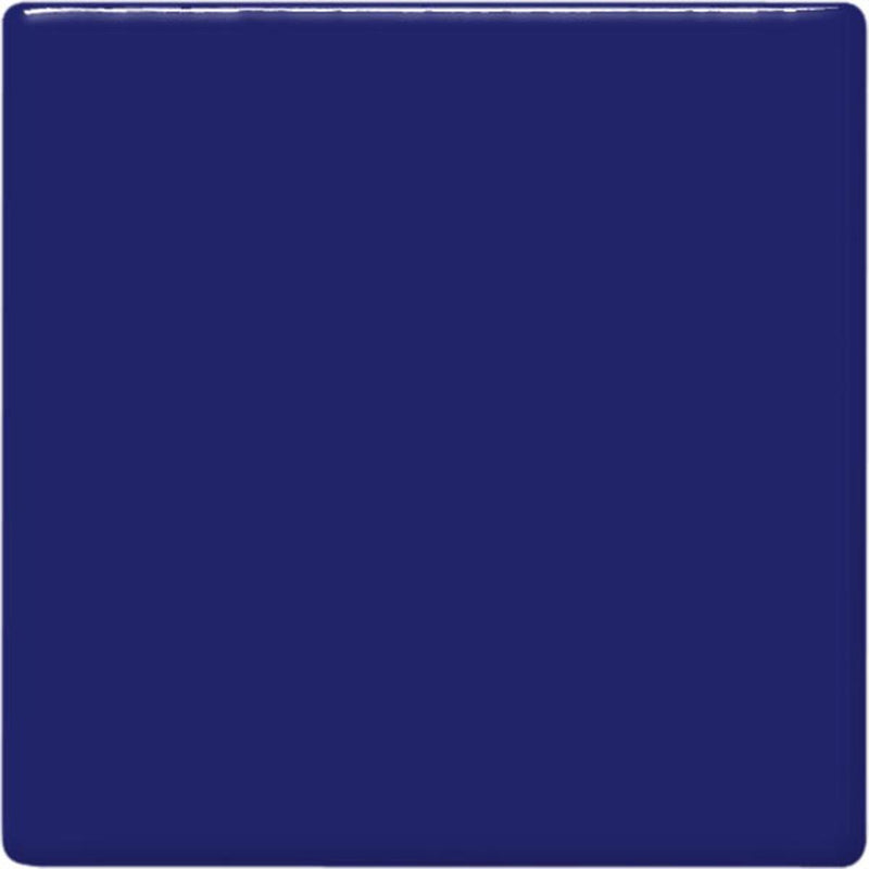 TP21 Midnight Blue Pint