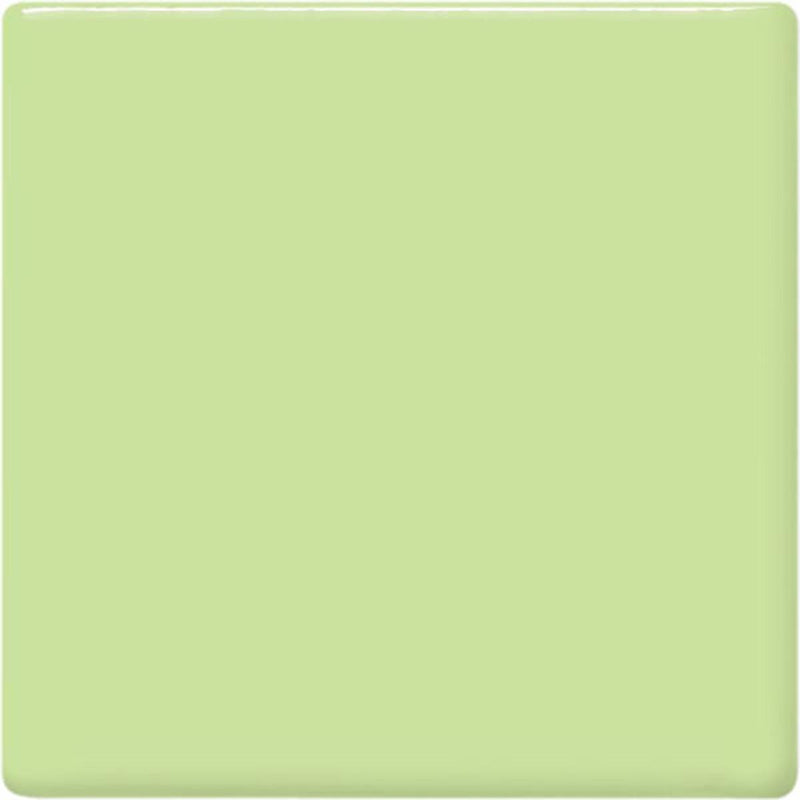 TP40 Mint Green Pint