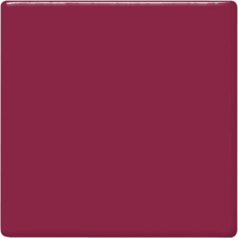 TP52 Raspberry Pint