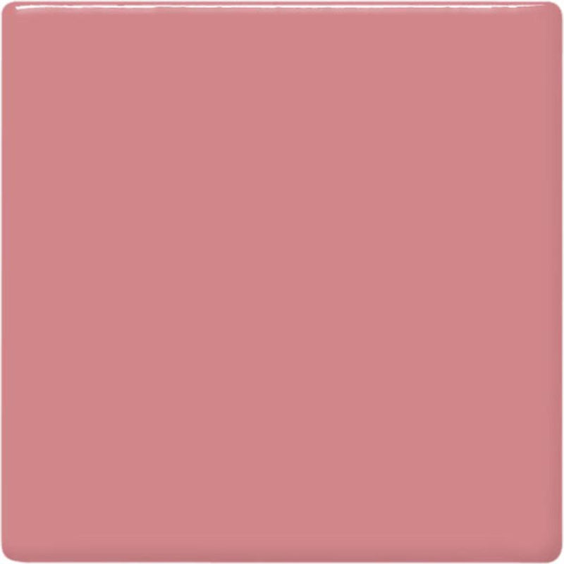 TP53 Pig Pink Pint