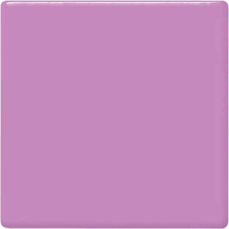 TP54 Lilac Pint