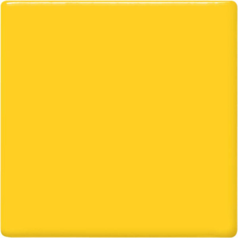 TP62 Maize Pint
