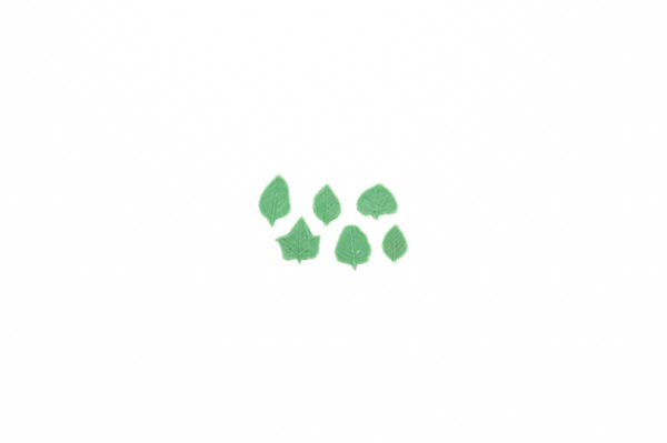 FL46 Assorted 6pc Leaf Mold