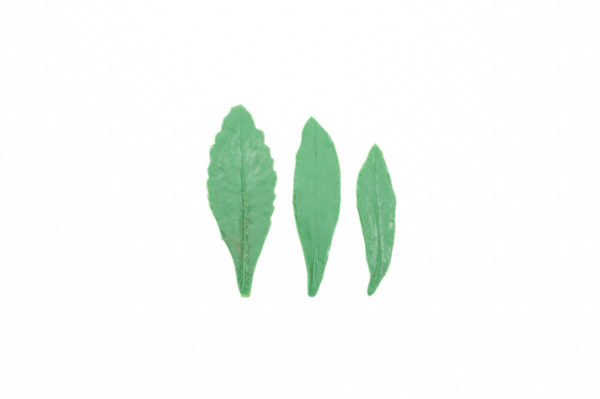 FL19 Daisy 3pc Leaf Mold