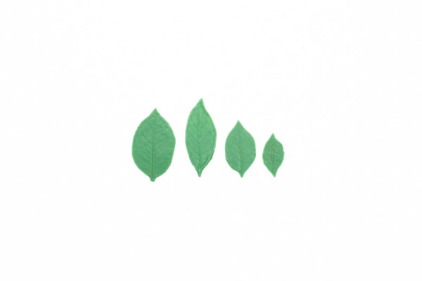 FL44 Rose 3pc Leaf Mold